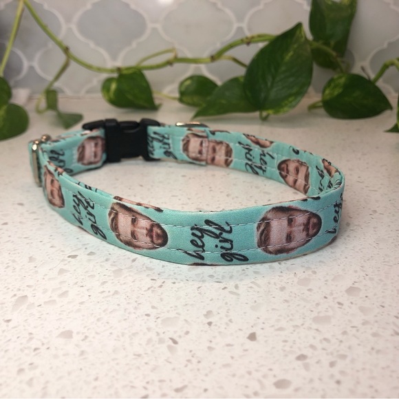 Dog collar: Ryan Gosling ‘Hey Girl’ novelty dog collar - fits 10”- 16” neck - Picture 3 of 14